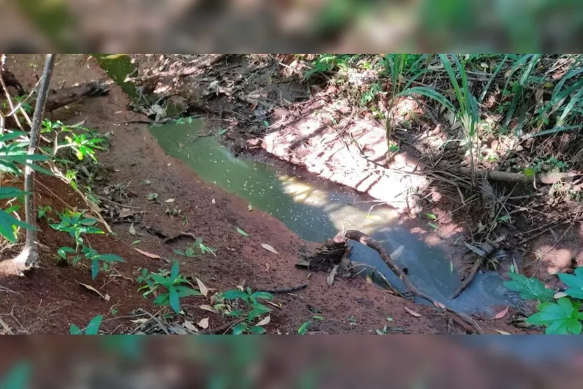 Polícia Ambiental investiga poluição no Rio Caviúna