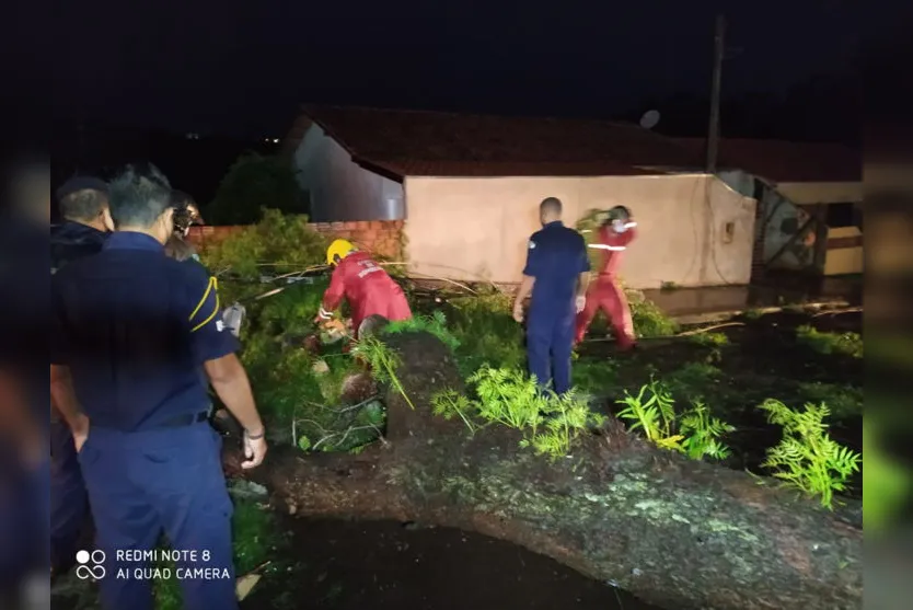Queda de árvore causa danos em casas e veículo