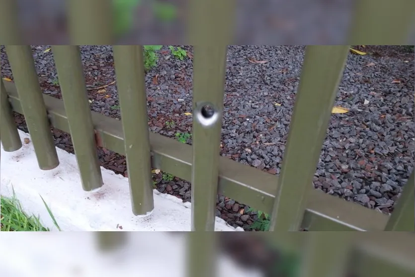 Suspeitos de invadirem residência morrem em confronto com a PM nesta madrugada