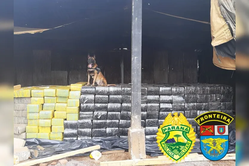 PM-PR apreende 12 toneladas de maconha e prende cinco suspeitos