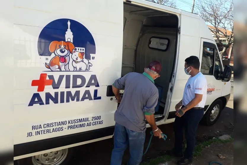 Após denúncia de maus-tratos, cachorros são resgatados; veja