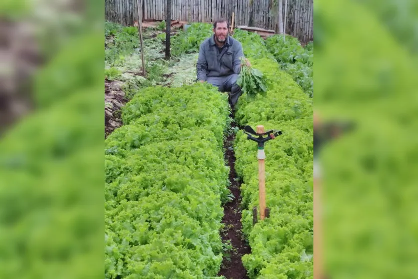 Arapongas prepara agricultores para Sacolão Municipal