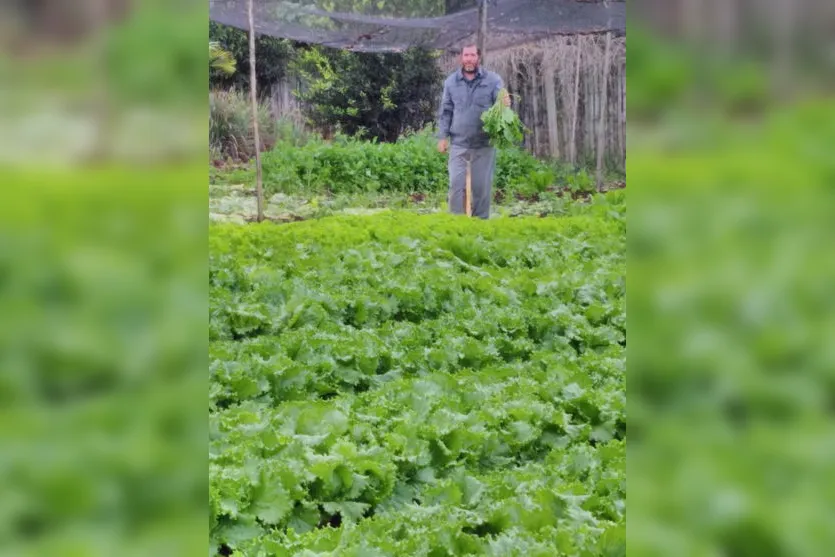 Arapongas prepara agricultores para Sacolão Municipal