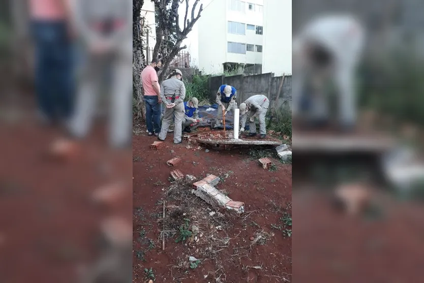 Bombeiros realizam busca por idoso desaparecido; veja