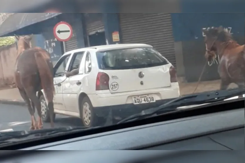 Carro da prefeitura é flagrado puxando cavalos; moradores se revoltam