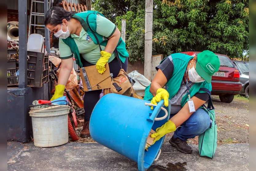 Casos de chikungunya geram alerta em Apucarana