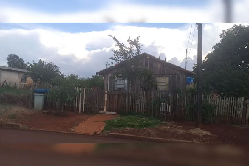 Denúncia: três cachorros são abandonados na Vila Reis; Vídeo