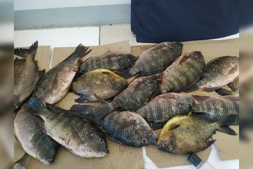 Dois homens são presos por pesca ilegal em Apucarana; veja