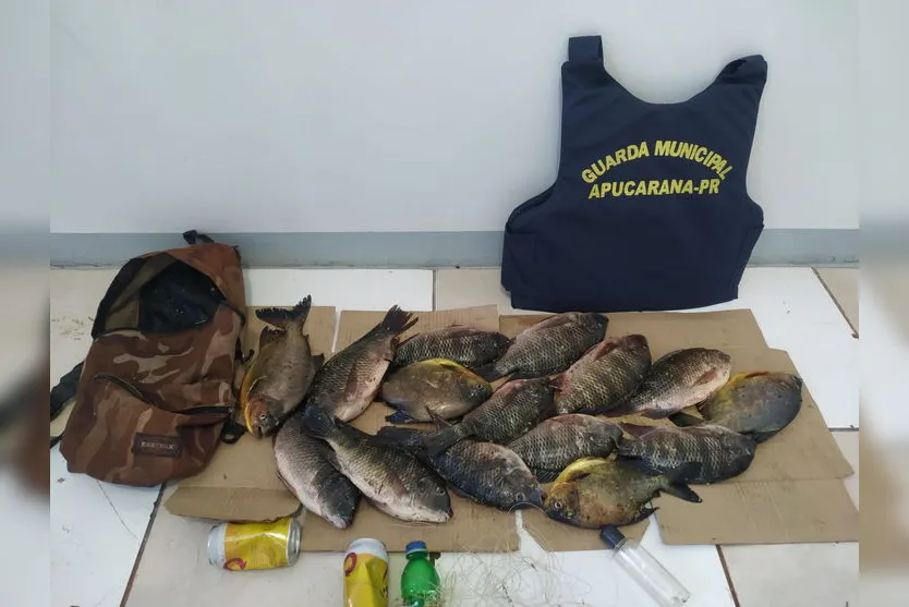 Dois homens são presos por pesca ilegal em Apucarana; veja