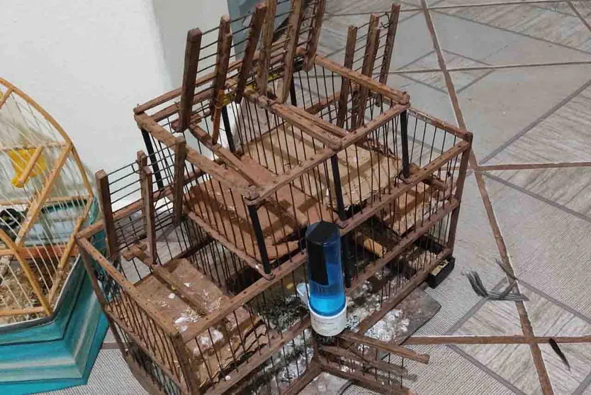 Homem é preso por caçar aves nativas em Lunardelli