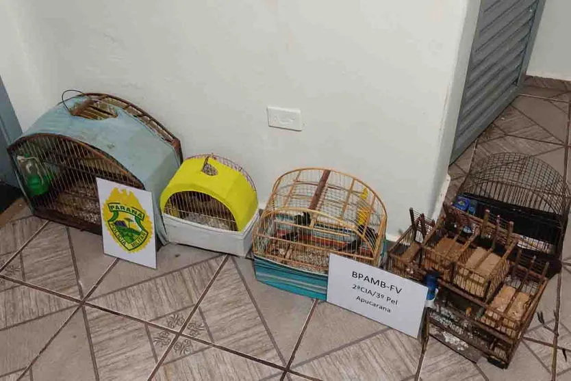 Homem é preso por caçar aves nativas em Lunardelli