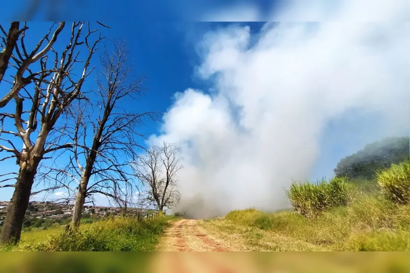 Incêndio próximo do Colégio Agrícola gera alerta; veja