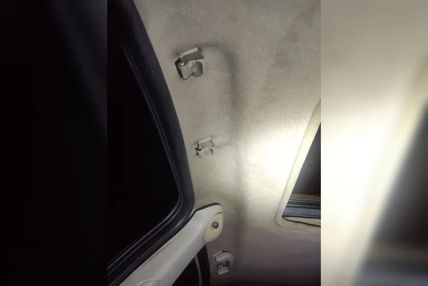 Jovem cai de veículo em movimento e morre atropelado na BR-376