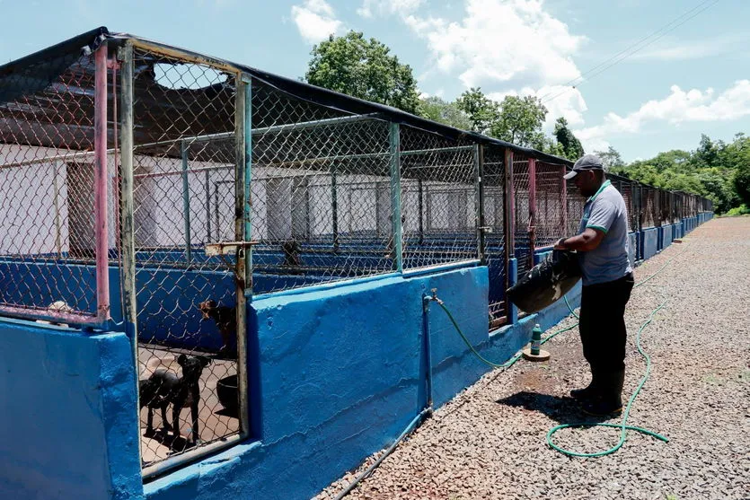 “Mais Vida Animal” tem 76 castrações e 71 resgates