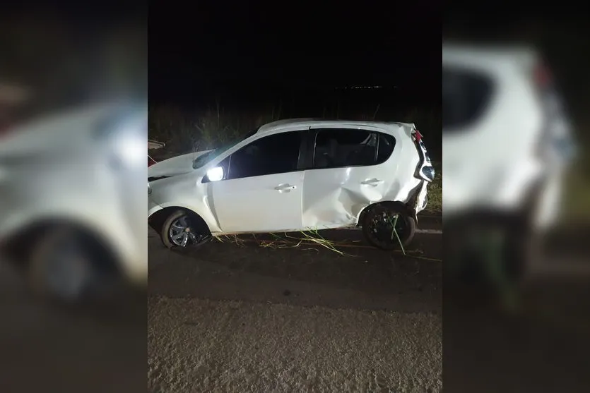 Motorista capota carro após atropelar javalis na PR-445