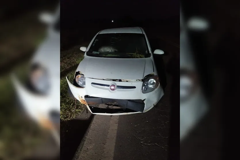 Motorista capota carro após atropelar javalis na PR-445