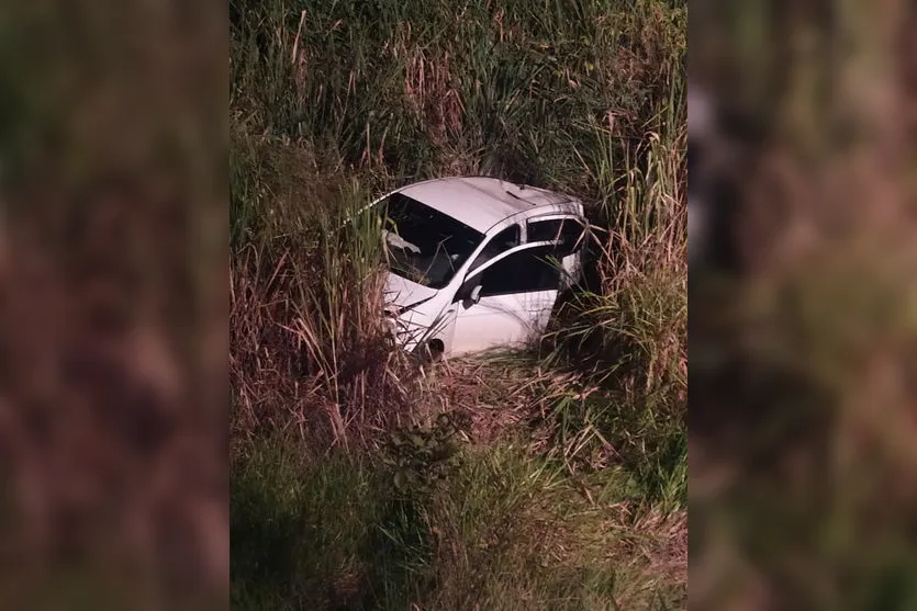 Motorista capota carro após atropelar javalis na PR-445