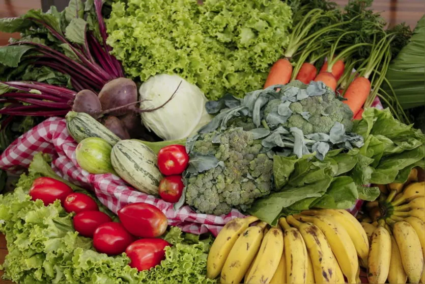 Programa vai trocar recicláveis por alimentos em Apucarana