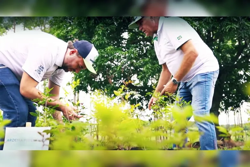 Propriedade rural do Norte do Paraná inova na forma de produção