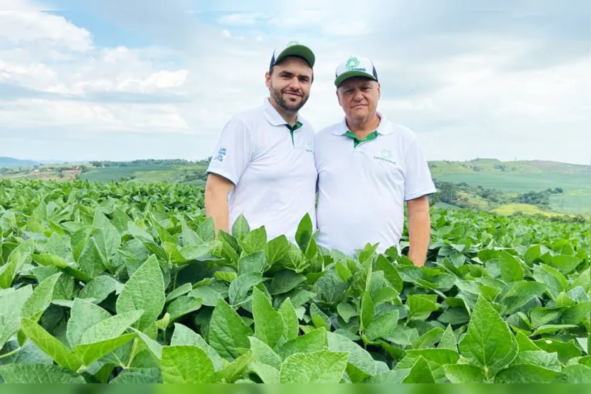 Propriedade rural do Norte do Paraná inova na forma de produção