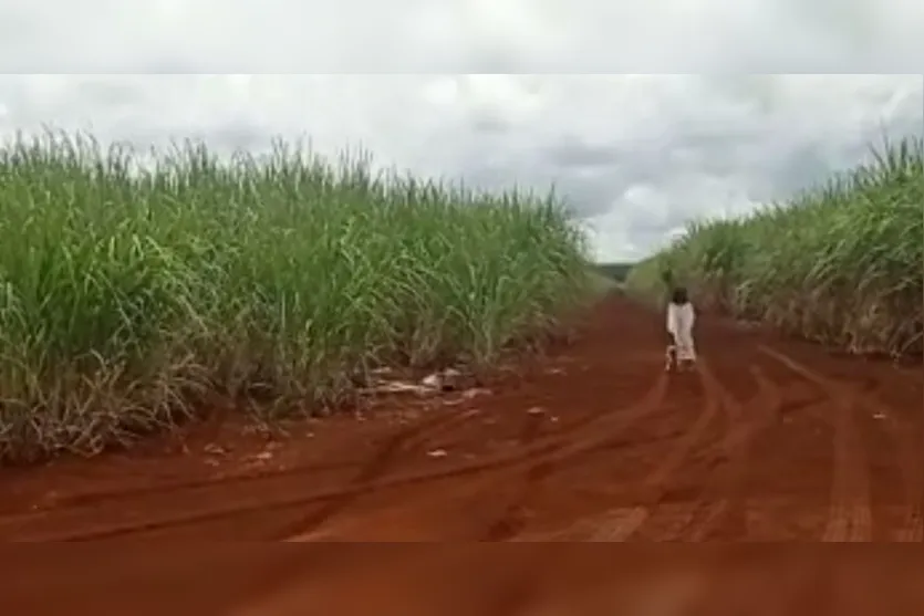 Vídeo de "menina fantasma" chama a atenção nas redes sociais