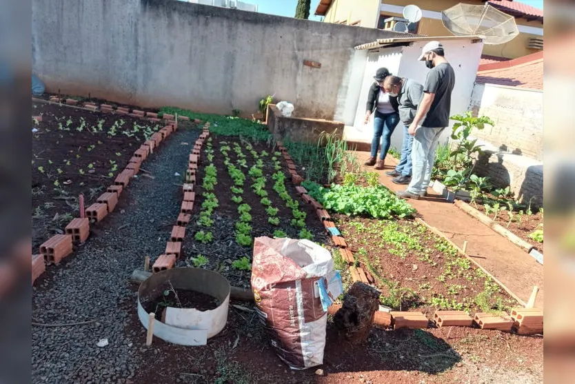 Apucarana cria hortas solidárias em quintais ociosos