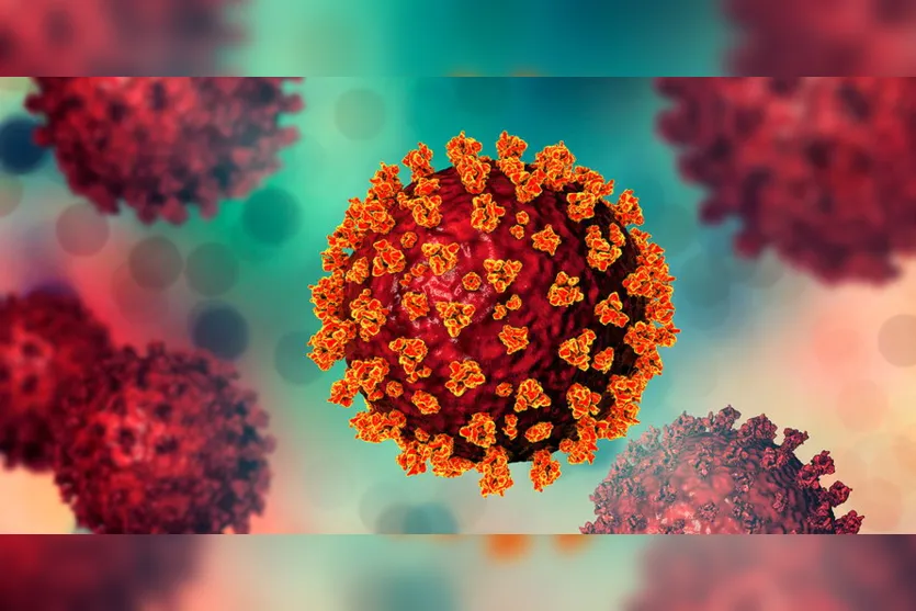 Apucarana registra queda de mortes e casos de Covid-19