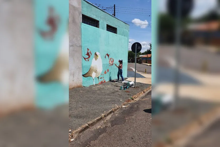 Artista leva novas cores para muros de Apucarana