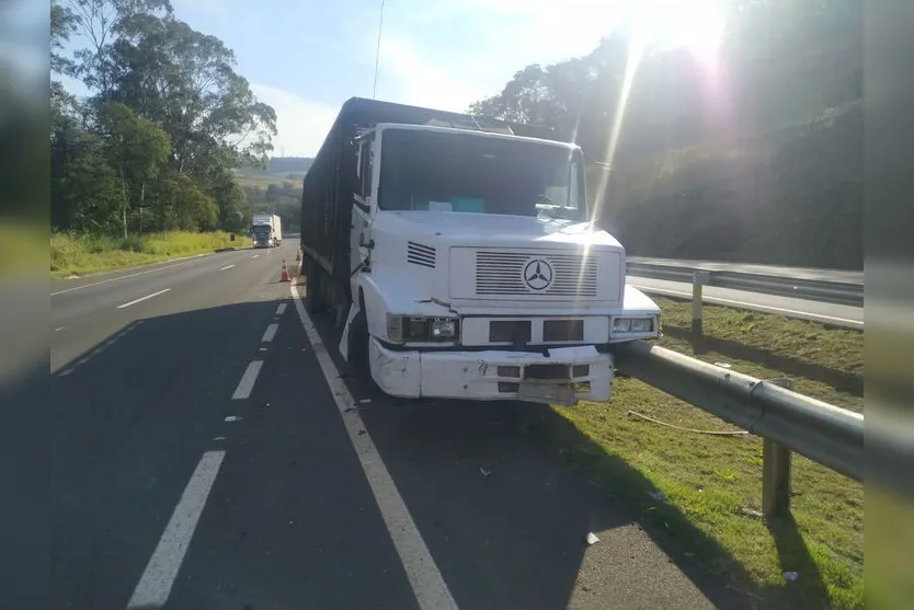 Caminhão carregado de bois sai da pista na BR 376