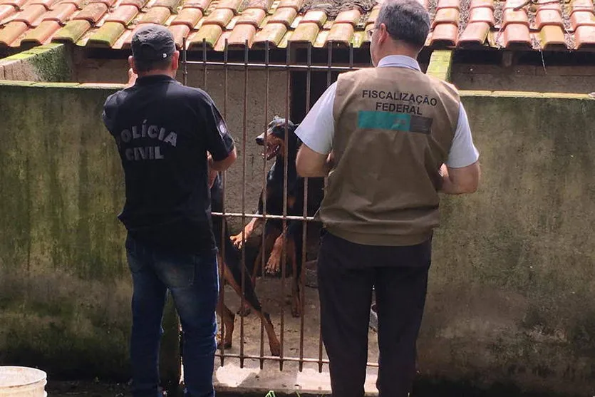 Denúncias de maus-tratos contra animais crescem no PR