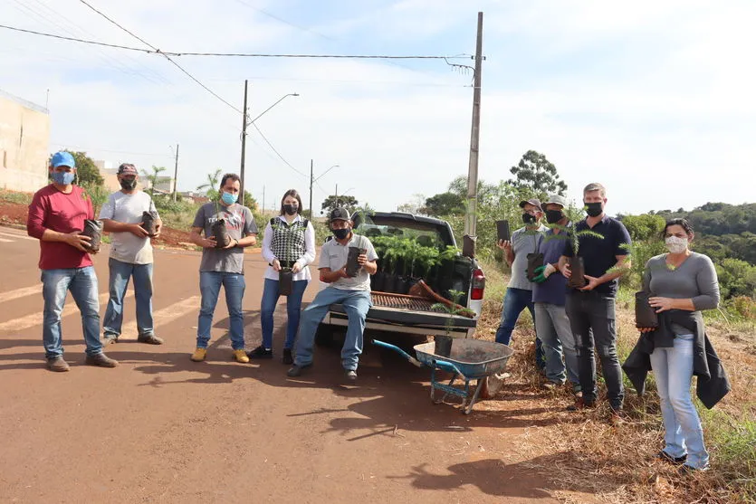 Dia Nacional da Araucária é comemorado com  plantio de mudas