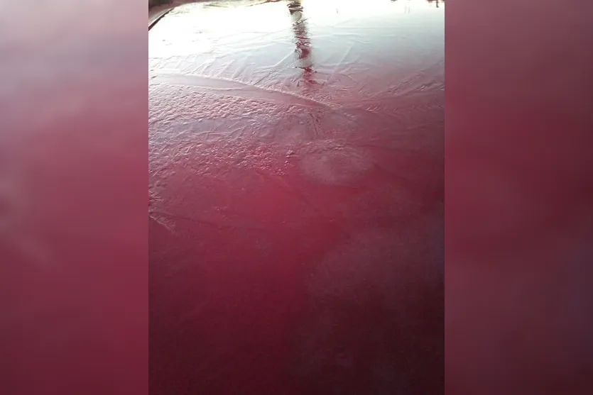 Frio: moradores de Apucarana registram gelo nesta manhã
