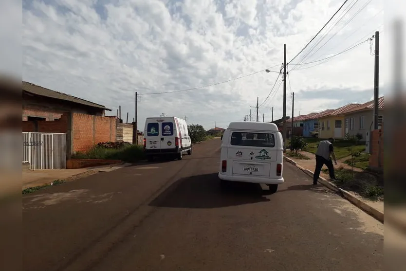 Grave: 4 cães são envenenados e morrem em Apucarana