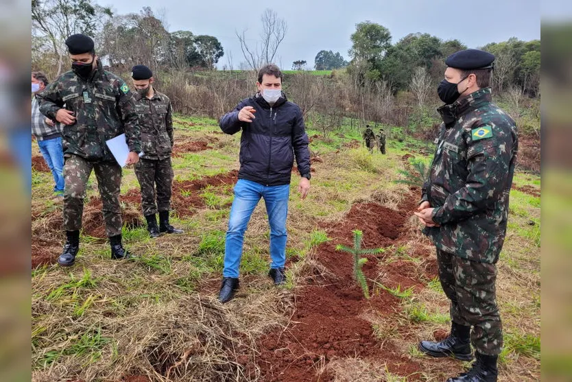 Militares realizam plantio de araucárias em Apucarana; veja