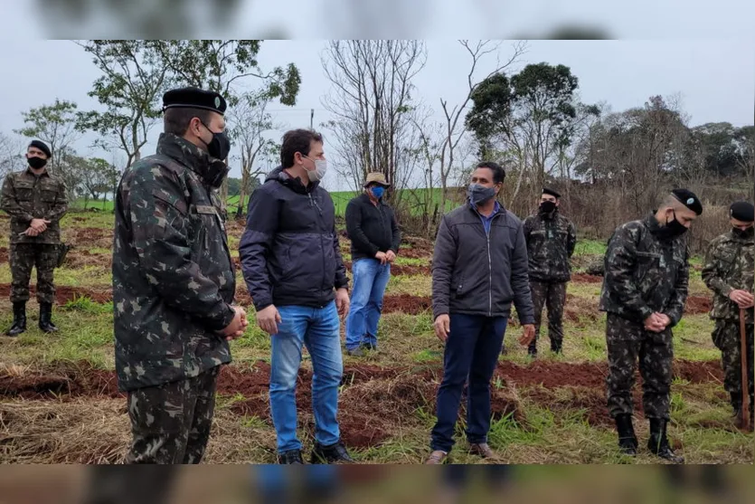 Militares realizam plantio de araucárias em Apucarana; veja