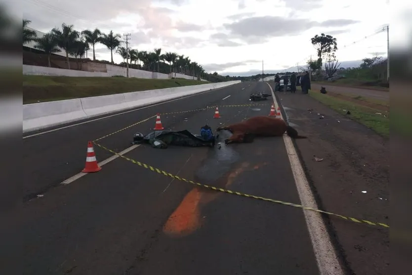 Motociclista morre após atropelar cavalo na região