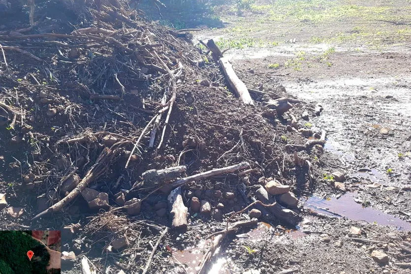  Operação contra desmatamento foi na região central do estado 