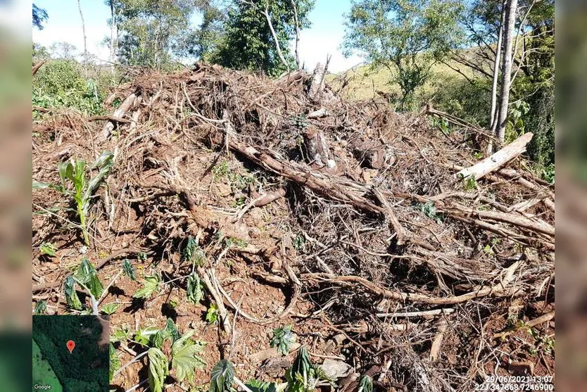  Operação contra desmatamento foi na região central do estado 