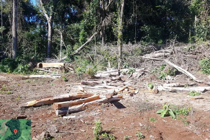  Operação contra desmatamento foi na região central do estado 