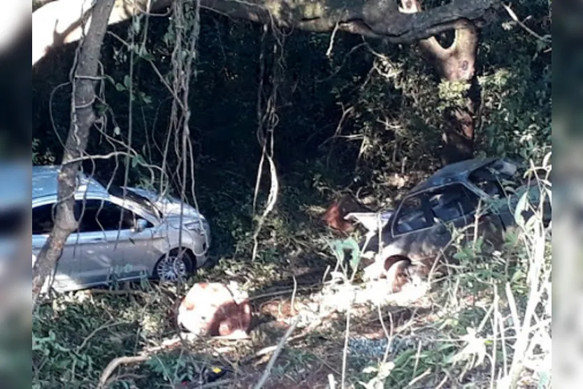  Os carros saíram da pista e caíram em um mesmo lugar 