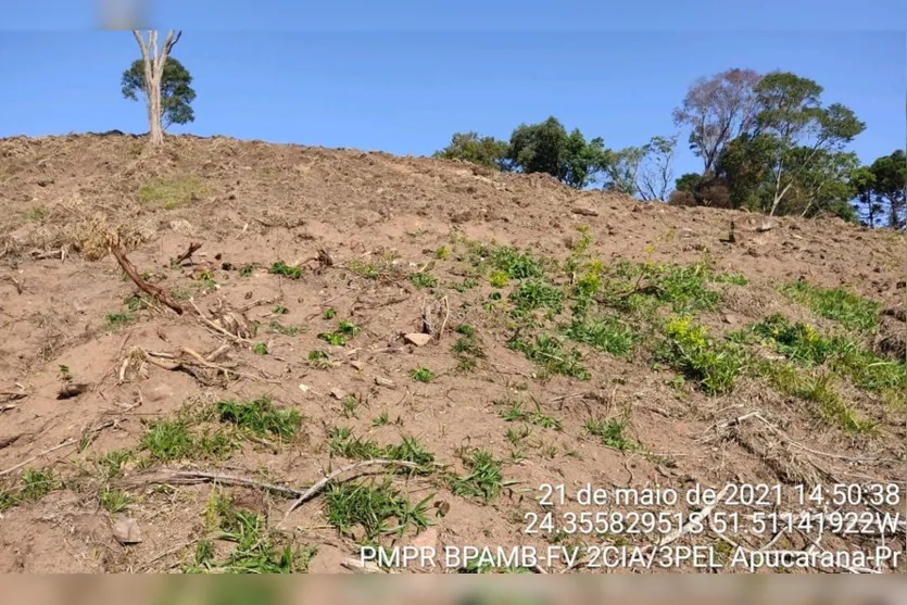 PM Ambiental confirma denúncia de desmatamento na região