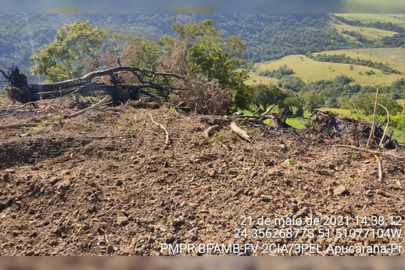 PM Ambiental confirma denúncia de desmatamento na região