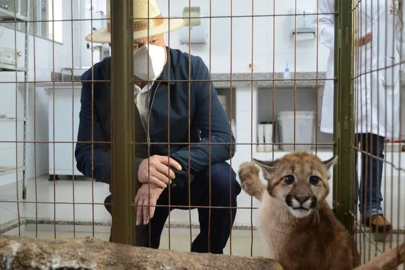 Paraná inaugura centro para atender animais silvestres