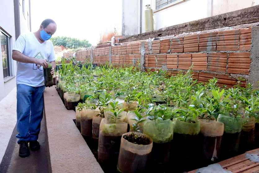 Pastoral de Apucarana se destaca em ações ambientais; veja