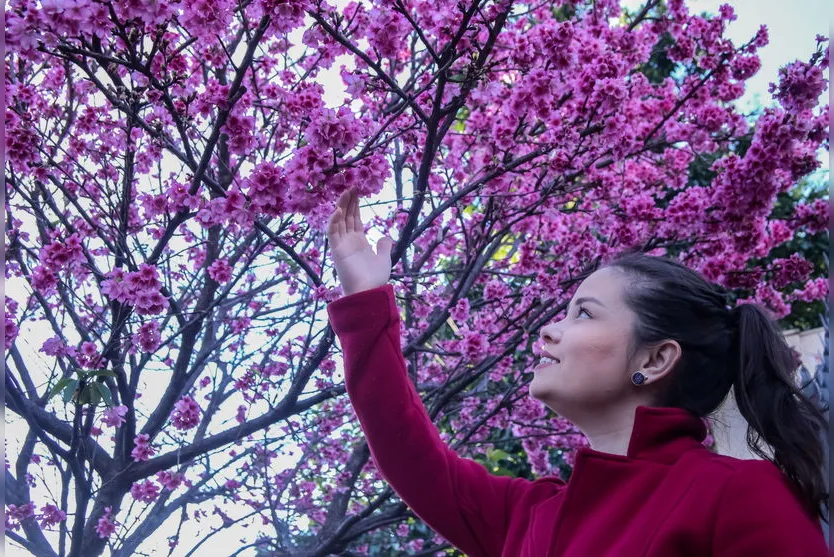 Prefeitos discutem calendário regional de turismo