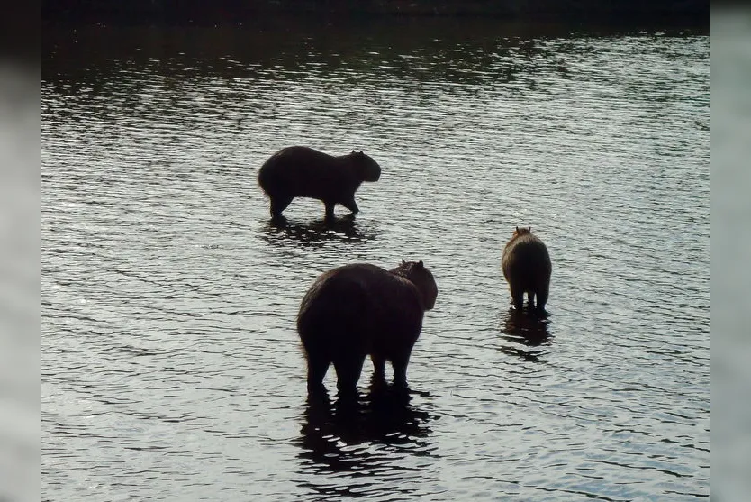 Prefeitos discutem calendário regional de turismo