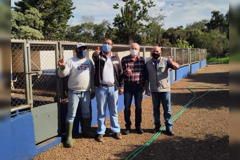 Presidente da Câmara acompanha trabalhos do Canil Municipal