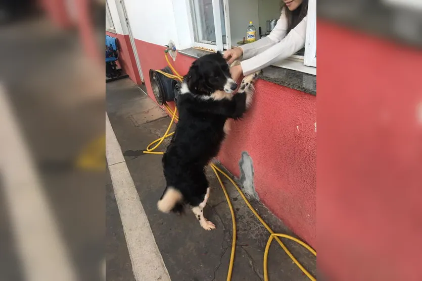 Visita inesperada aparece na base do Samu Arapongas