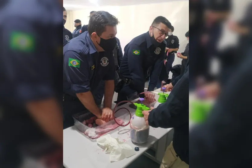 Agentes de Segurança participam de capacitação em Arapongas