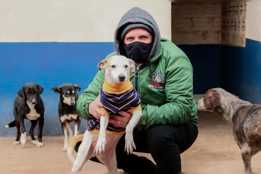 Animais recebem proteção contra o frio em Apucarana